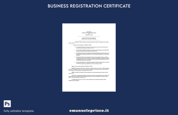 stile verificato Certificato di incorporazione del Delaware USA Modello Word e 1